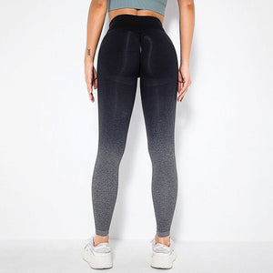 Legging Ombré Seamless-Fit - FITFRENCHIES